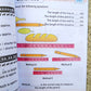 Primary Maths (P.1) - for revision